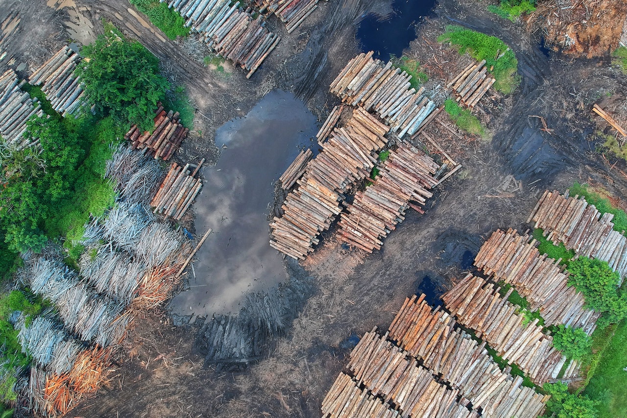 Illegal Deforestation in Brazil Rises in 2020